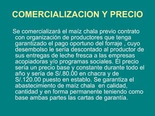COMERCIALIZACION Y PRECIO Se comercializará el maíz chala previo contrato con organización de productores que tenga garantizado el pago oportuno del forraje , cuyo desembolso le sería descontado al productor de sus entregas de leche fresca a las empresas acopiadoras y/o programas sociales. El precio sería un precio base y constante durante todo el año y sería de S/.80.00 en chacra y de S/.120.00 puesto en establo. Se garantiza el abastecimiento de maíz chala  en calidad, cantidad y en forma permanente teniendo como base ambas partes las cartas de garantía.   