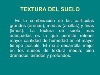 TEXTURA DEL SUELO Es la combinación de las partículas grandes (arenas), medias (arcillas) y finas (limos). La textura de suelo mas adecuadas es la que permite retener mayor cantidad de humedad en el mayor tiempo posible. El maíz desarrolla mejor en los suelos de textura media, bien drenados, airados y profundos.  