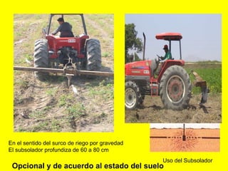 Uso del Subsolador En el sentido del surco de riego por gravedad El subsolador profundiza de 60 a 80 cm Opcional y de acuerdo al estado del suelo 