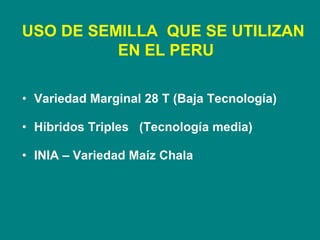 Variedad Marginal 28 T (Baja Tecnología) Híbridos Triples  (Tecnología media) INIA – Variedad Maíz Chala USO DE SEMILLA  QUE SE UTILIZAN  EN EL PERU 