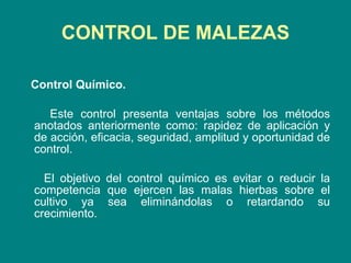 CONTROL DE MALEZAS Control Químico.  Este control presenta ventajas sobre los métodos anotados anteriormente como: rapidez de aplicación y de acción, eficacia, seguridad, amplitud y oportunidad de control. El objetivo del control químico es evitar o reducir la competencia que ejercen las malas hierbas sobre el cultivo ya sea eliminándolas o retardando su crecimiento. 