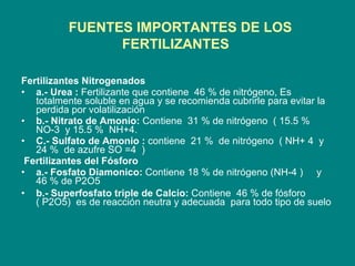 FUENTES IMPORTANTES DE LOS FERTILIZANTES  Fertilizantes Nitrogenados a.- Urea :  Fertilizante que contiene  46 % de nitrógeno, Es totalmente soluble en agua y se recomienda cubrirle para evitar la perdida por volatilización b.- Nitrato de Amonio:  Contiene  31 % de nitrógeno  ( 15.5 %  NO-3  y 15.5 %  NH+4. C.- Sulfato de Amonio :  contiene  21 %  de nitrógeno  ( NH+ 4  y 24 %  de azufre SO =4  )  Fertilizantes del Fósforo a.- Fosfato Diamonico:  Contiene 18 % de nitrógeno (NH-4 )  y 46 % de P2O5 b.- Superfosfato triple de Calcio:  Contiene  46 % de fósforo ( P2O5)  es de reacción neutra y adecuada  para todo tipo de suelo 
