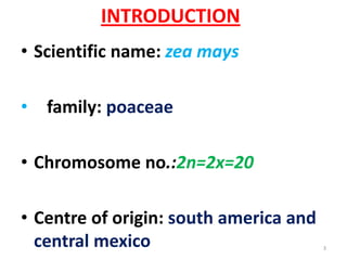 INTRODUCTION
• Scientific name: zea mays
• family: poaceae
• Chromosome no.:2n=2x=20
• Centre of origin: south america and
central mexico 3
 