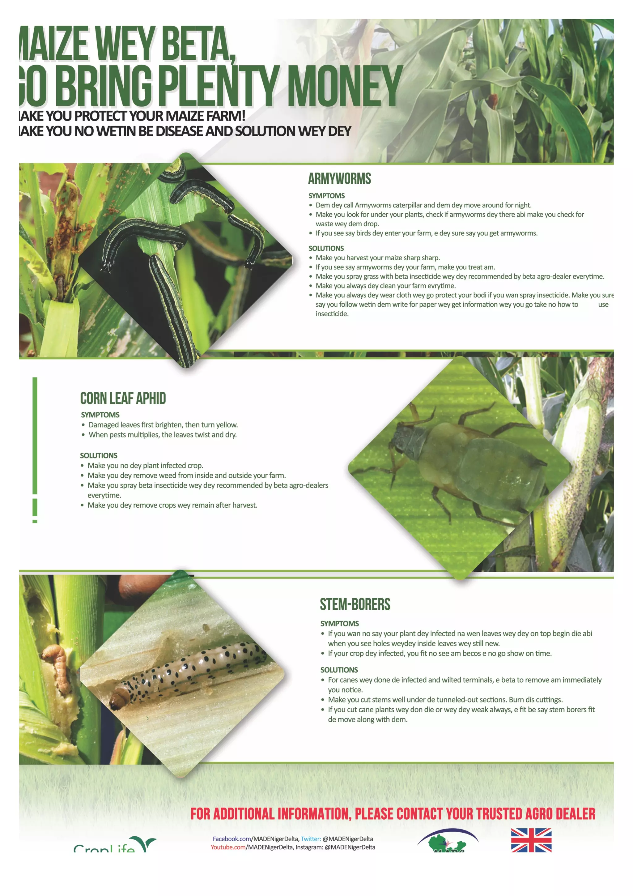 Outsmart Rice Pests & Diseases:  Continuing Education Solutions - zpe6oh6