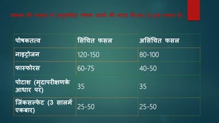 पोिकतत्व मसंधित फसल अमसंधित फसल
नाइट्रोजन 120-150 80-100
फास्फोरस 60-75 40-50
पोटाि (मृदापरीक्षणक
े
आिार पर)
35 35
जजंकसल्फ
े ट (3 सालमें
एकबार)
25-50 25-50
मक्का की फसल में अनुिंमसत पोिक तत्वों की मात्रा कक.ग्रा./ हे. इस प्रकार है।
 