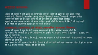 WEEDS खरपतवार-
•मक्क
े की फसल में कई प्रकार क
े खरपतवार आते हैं। इनमें से प्रमुख हैं- दूब, सांवा, मोथा,
जंगली रागी, भसलयारी, कनकौआ (क
े ना) गोखुरू, टहरणखुरी मकोय, हजारदाना, स्टाइगा आटद।
•मक्का की फसल में दो अन्तः कृ वष एवं दो बार हाथों से ननंदाई करनी चाटहए।
•गुडाई का कायि कतारों क
े बीच में करना चाटहए। इससे पौधों क
े आधार में भमट्टी भी चढ़ जाती
है जो पौधों को अनतररक्त सहारा देने का काम करती है
CHEMICAL CONTROL OF WEED (रासायतनक खरपतवार तनयंत्रण) :
•मक्क
े की फसल में शुरू क
े 6-7 सप्ताह खरपतवारों क
े भलए क्रांनतक अवस्था होती है।
•खरपतवार की सघनता एवं उसक
े अनतक्रमण की अवर्ध क
े अनुसार मक्का में उत्पादन 15-20% तक
कम हो सकता है।
•भसमाजजन या एट्राजजन की 2 कक.ग्रा./हे. मात्रा को अंक
ु रण क
े पूवि उपयाग करने से खरपतवारों का प्रभावी
ननयंत्रण हो जाता है।
•जब मक्का क
े पौधे लगभग 20 सें.मी. ऊ
ाँ चाई क
े हों एवं चौडी पत्ती वाले खरपतवार खेत में हों तो 2,4-D
की 1.5 से 2.0 कक.ग्रा. मात्रा/हे. की दर से डालें।
 