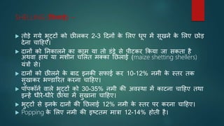 SHELLING (तछलाई) –
 तोडे गये भुट्टों को छीलकर 2-3 टदनों क
े भलए धूप में सूखने क
े भलए छोड
देना चाटहए।
 दानों को ननकालने का काम या तो डंडे से पीटकर ककया जा सकता है
अथवा हाथ या मशीन चभलत मक्का नछलाई (maize shetting shellers)
यंत्रों से।
 दानों को छीलने क
े बाद इनकी सफाई कर 10-12% नमी क
े स्तर तक
सुखाकर भण्डाररत करना चाटहए।
 पॉपकॉनि वाले भुट्टों को 30-35% नमी की अवस्था में काटना चाटहए तथा
इन्हें धीरे-धीरे छाया में सुखाना चाटहए।
 भुट्टों से इनक
े दानों की नछलाई 12% नमी क
े स्तर पर करना चाटहए।
 Popping क
े भलए नमी की इष्टतम मात्रा 12-14% होती है।
 