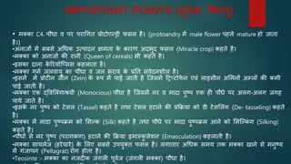 IMPORTANT POINTS (मुख्य ब्रबन्दू)
• मक्का C4. पौधा व पर परार्गत प्रोटोएन्ड्री फसल है। (protoandry में male flower पहले mature हो जाता
है।)
•अनाजों में सबसे अर्धक उत्पादन क्षमता क
े कारण अदभुद फसल (Miracle crop) कहते है।
•मक्का को अनाजों की रानी (Queen of cereals) भी कहते है।
•इसका दाना क
े ररयोजप्सस कहलाता है।
•मक्का गमि जलवायु का पौधा व जल भराव क
े प्रनत संवेदनशील है।
•इसमें में प्रोटीन जीन (Zein) क
े रूप में पाई जाती है जजसमें टट्रप्टोफ
े न एवं लाइसीन अभमनों अम्लों की कमी
पाई जाती है।
•मक्का एक द्ववभलंगाश्रयी (Monocious) पौधा है जजसमें नर व मादा पुष्प एक ही पौधे पर अलग-अलग जगह
पाये जाते है।
•इसक
े नर पुष्प को टेसल (Tassel) कहते है तथा टेसल हटाने की प्रकक्रया को डी टेसभलंग (De- tasseling) कहते
है।
•मक्का में मादा पुष्पक्रम को भसल्क (Silk) कहते है तथा पौधे पर मादा पुष्पक्रम आने को भसजल्क
ं ग (Silking)
कहते है।
•पौधों से नर पुष्प (परागकण) हटाने की कक्रया इमास्क
ु लेशन (Emasculation) कहलाती है।
•मक्का सायलेज (हरेचारे) क
े भलए सबसे उपयुक्त फसल है। लगातार अर्धक समय तक मक्का खाने से मनुष्य
में गंजापन (Pellagrat) रोग होता है।
•Teosinte :- मक्का का नजदीक जंगली पूविज (जंगली मक्का) पौधा है।
 