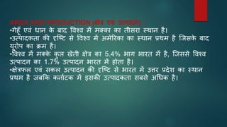 AREA AND PRODUCTION (क्षेत्र एवं उत्पादन) :
•गेहूाँ एवं धान क
े बाद ववश्व में मक्का का तीसरा स्थान है।
•उत्पादकता की दृजष्ट से ववश्व में अमेररका का स्थान प्रथम है जजसक
े बाद
यूरोप का क्रम है।
•ववश्व में मक्क
े क
ु ल खेती क्षेत्र का 5.4% भाग भारत में है, जजससे ववश्व
उत्पादन का 1.7% उत्पादन भारत में होता है।
•क्षेत्रफल एवं सकल उत्पादन की दृजष्ट से भारत में उत्तर प्रदेश का स्थान
प्रथम है जबकक कनािटक में इसकी उत्पादकता सबसे अर्धक है।
 