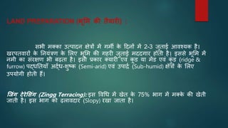 LAND PREPARATION (भूमम की तैयारी) :
सभी मक्का उत्पादन क्षेत्रों में गमी क
े टदनों में 2-3 जुताई आवश्यक है।
खरपतवारों क
े ननयंत्रण क
े भलए भूभम की गहरी जुताई मददगार होती है। इससे भूभम में
नमी का संरक्षण भी बढ़ता है। इसी प्रकार क्यारी एवं क
ू ड या मेंड एवं क
ुं ड (ridge &
furrow) पद्धनतयााँ अद्िध-शुष्क (Semi-arid) एवं उपार्द्ि (Sub-humid) क्षेत्रों क
े भलए
उपयोगी होती हैं।
जजंि टेरेमसंि (Zingg Terracing): इस ववर्ध में खेत क
े 75% भाग में मक्क
े की खेती
जाती है। इस भाग को ढ़लावदार (Slopy) रखा जाता है।
 