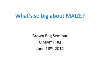 What’s so big about MAIZE?
Brown Bag Seminar
CIMMYT HQ
June 18th, 2012

 