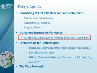 Maize - Presentation for Discussion with Donors and Partners - June 2013