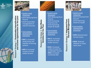 Maize - Presentation for Discussion with Donors and Partners - June 2013