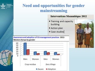 Maize - Presentation for Discussion with Donors and Partners - June 2013