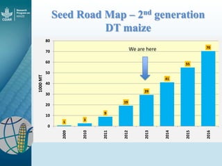 Maize - Presentation for Discussion with Donors and Partners - June 2013
