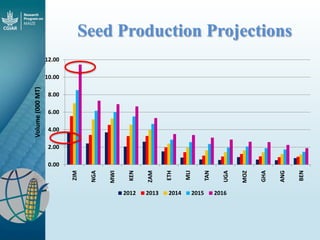 Maize - Presentation for Discussion with Donors and Partners - June 2013