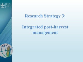 Maize - Presentation for Discussion with Donors and Partners - June 2013