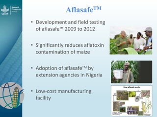 Maize - Presentation for Discussion with Donors and Partners - June 2013