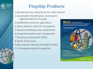 Maize - Presentation for Discussion with Donors and Partners - June 2013