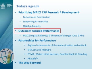 Maize - Presentation for Discussion with Donors and Partners - June 2013