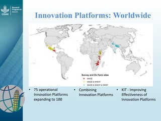 Maize - Presentation for Discussion with Donors and Partners - June 2013