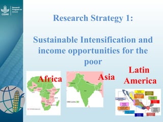 Maize - Presentation for Discussion with Donors and Partners - June 2013