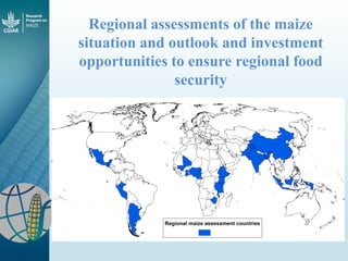 Maize - Presentation for Discussion with Donors and Partners - June 2013