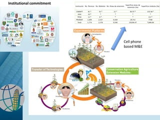 Maize - Presentation for Discussion with Donors and Partners - June 2013