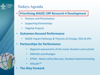 Maize - Presentation for Discussion with Donors and Partners - June 2013