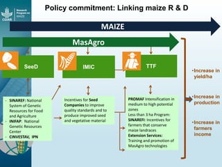 Maize - Presentation for Discussion with Donors and Partners - June 2013
