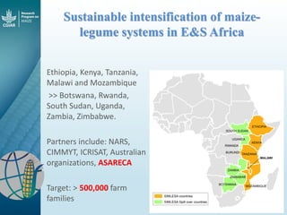 Maize - Presentation for Discussion with Donors and Partners - June 2013