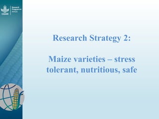 Maize - Presentation for Discussion with Donors and Partners - June 2013