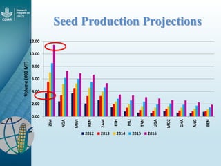 Maize - Presentation for Discussion with Donors and Partners - June 2013