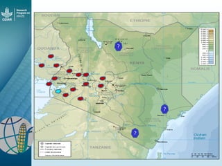 Maize - Presentation for Discussion with Donors and Partners - June 2013