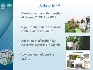 Maize - Presentation for Discussion with Donors and Partners - June 2013