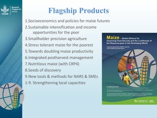 Maize - Presentation for Discussion with Donors and Partners - June 2013