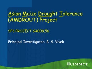Asian Maize Drought Tolerance
(AMDROUT) Project
SP3 PROJECT G4008.56
Principal Investigator: B. S. Vivek
 
