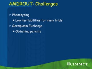 AMDROUT: Challenges
 Phenotyping
Low heritabilities for many trials
 Germplasm Exchange
Obtaining permits
 