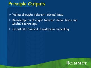 Principle Outputs
 Yellow drought tolerant inbred lines
 Knowledge on drought tolerant donor lines and
MARS technology
...