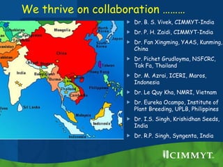 We thrive on collaboration ………
 Dr. B. S. Vivek, CIMMYT-India
 Dr. P. H. Zaidi, CIMMYT-India
 Dr. Fan Xingming, YAAS, K...