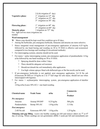 2 (Life irrigation 4th day)
Vegetative phase:             1st irrigation on 12th day
                              2nd irrigation on 25th day
                              3rd irrigation on 36th day.

Flowering phase :             1st irrigation on 48th day
                              2nd irrigation on 60th day
Maturity phase                1 irrigation on 72nd day
For light soil two more irrigations are
needed.
Weed management
W Maize crop should be kept weed free condition up to 45 days.
? Among the herbicides, pre emergence herbicide, Simazine and atrazine are more selective.
?   Hence integrated weed management of pre-emergence application of atrazine 0.25 kg/ha
    followed by one hand hoeing and weeding on 30 to 35 DAS is effective and economical
    compared to two hoeings and weedings (Conventional methods).
?   For intercropping systems, atrazine should not be used.
?   For maize + pulse intercropping system, pre-emergence application of pendimethalin 1.0 kg
    ai/ha followed by one hand weeding on 30 to 35 DAS.
         ? Spraying should be done within 3 days
        ?   There should be adequate soil moisture
        ?   Should not disturb the soil immediately after application
        ?   Use high volume sprayer fitted with deflected type or flat fan nozzle can be used.
?   If pre-emergence herbicides is not applied, post emergence application, 2,4 D Na salt
    (Fernoxone 80 WP) at 1.0 kg/ha on 2 or 3rd leaf stage for sole maize, should not use when
    intercropped with legumes.
?   For maize + soybean/pulse intercropping system, pre-emergence application of alachlor
    at
    2.0 kg ai/ha (Lasso 50% EC) + one hand weeding.


                                                                        Commercia
Chemical name          Trade Name              ai/ha                    l
                                                                        Product
Pre emergence
   Atrazine            Atratop 50%WP           0.25 kg/ha               500 g/ha
   Pendemethalin       Stomp 30% EC            1.0 kg ai/ha             3.3 l/ha
Post emergence
    2.4D Na salt       Fernoxone 80% WP        1.0 kg ai/ha             1.25 kg/ha.
Thinning and gap filling : Leave one healthy seeding per hill and remove others on 7th or 8th
day of sowing. Where seedings are not germinated, dibble 2 seeds per hill and immediately pot
 