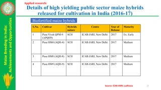Maize Breeding in India: Achievements and Opportunities | PPTX