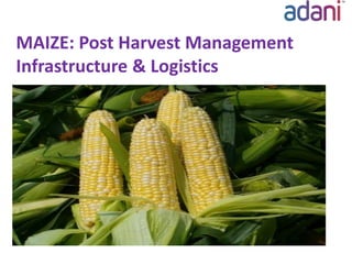 MAIZE: Post Harvest Management
Infrastructure & Logistics
 