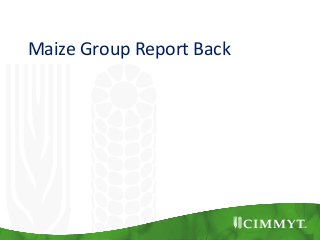 Maize Group Report Back
 