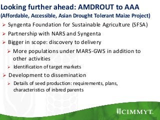 Looking further ahead: AMDROUT to AAA
(Affordable, Accessible, Asian Drought Tolerant Maize Project)
 Syngenta Foundation for Sustainable Agriculture (SFSA)
 Partnership with NARS and Syngenta
 Bigger in scope: discovery to delivery
 More populations under MARS-GWS in addition to
other activities
 Identification of target markets
 Development to dissemination
 Details of seed production: requirements, plans,
characteristics of inbred parents
 