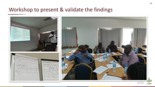 Food safety in Tanzania: Lessons from maize and dairy supply chains and policy recommendations