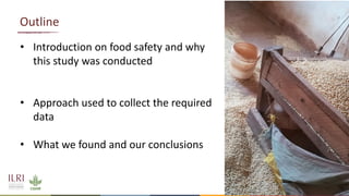 Food safety in Tanzania: Lessons from maize and dairy supply chains and policy recommendations
