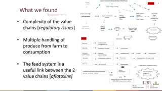 Food safety in Tanzania: Lessons from maize and dairy supply chains and policy recommendations