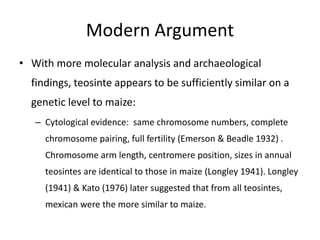 Modern Argument
• With more molecular analysis and archaeological
findings, teosinte appears to be sufficiently similar on a
genetic level to maize:
– Cytological evidence: same chromosome numbers, complete
chromosome pairing, full fertility (Emerson & Beadle 1932) .
Chromosome arm length, centromere position, sizes in annual
teosintes are identical to those in maize (Longley 1941). Longley
(1941) & Kato (1976) later suggested that from all teosintes,
mexican were the more similar to maize.
 
