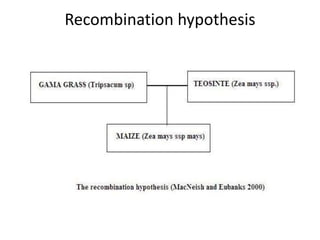 Recombination hypothesis
 